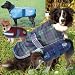 Sporting Goods : Weatherbeeta Orican Dog Coat
