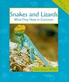 Snakes and Lizards (Animals in Order)