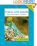 Snakes and Lizards (Animals in Order)