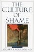 The Culture of Shame (1 Ed)