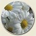 Kitchen & Housewares : AutoCoaster ~ White Daisy ~ Tile Drink Coaster for car cupholder - code 623