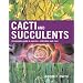 Cacti and Succulents: A Complete Guide to Species, Cultivation and Care