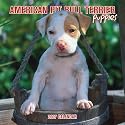 American Pit Bull Terrier Puppies 2007 Mini Calendar
