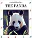 Panda: Wild About Bamboo (Animal Close-Ups)