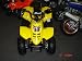 50cc ATV Standard Full Supension Great for All Ages