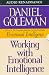 Working with Emotional Intelligence