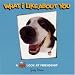 Book What I Like About You : A Head First Look at Friendship