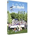 Le Skylab