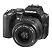 Olympus Evolt E500 8MP Digital SLR with Zuiko 14-45mm f/3.5-5.6 Digital SLR Lens
