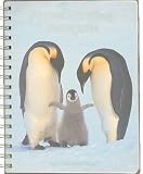 Frans Lanting: Penguin - 2007 (Diaries)