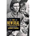 The New Deal: The Depression Years, 1933-40 (American History in Depth)
