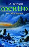 The Lost Years of Merlin
