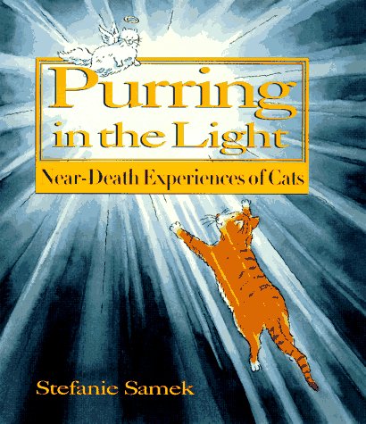 Near Death Experiences