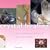 Crystal Healing (Health & Well-being)