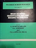 Brain ischemia : quantitative EEG and imaging techniques