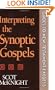 Interpreting the Synoptic Gospels (Guides to New Testament Exegesis)