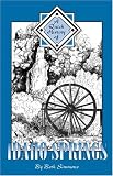 A Quick History of Idaho Springs