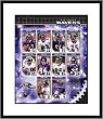 Baltimore Ravens -2006 Team Composite- Framed 8x10 Photograph