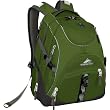 High Sierra Access Backpack, Amazon/Charcoal