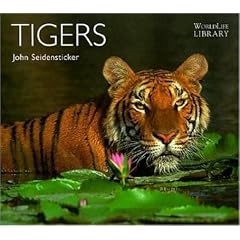 Tigers (World Life Library)