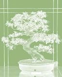 Pastel Graphic of Bonsai Tree - 36