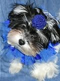 14 Ribbon Dog Collars, 1 Rainbow and 1 Blue with 4 Hair Clips