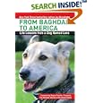 From Baghdad to America: Life Lessons from a Dog Named Lava