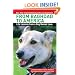 From Baghdad to America: Life Lessons from a Dog Named Lava