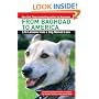 From Baghdad to America: Life Lessons from a Dog Named Lava