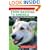 From Baghdad to America: Life Lessons from a Dog Named Lava