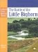 Third Party New : The Battle of Little Bighorn (Landmark Events in American History)