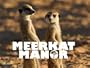 Meerkat Manor Season 1