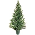 Mini Cedar Pine Topiary in Pot - 48"