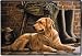 Patience Golden Retreiver Doormat Mat Rug