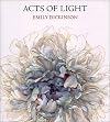 Acts of Light