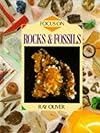 ROCKS AND FOSSILS (Hobby Handbooks)
