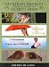 Search : Catherine Deneuve Dans les Films de Jacques Demy (Original French ONLY Versions - NO English Options)