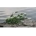 Decorative Home&garden Artificial Plants/artificial Flowers Floral--- Lavender 2pc Set, White (Free Shipping)