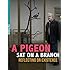 A Pigeon Sat on a Branch Reflecting on Existence