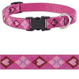 Lupine Puppy Love 3/4 in Adjustable Dog Collar (12in - 20in)