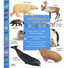 Animaux de la banquise