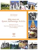 Billig reisen mit Ryanair, Germanwings, hlx & Co. Spartipps & Tricks f�r Irland, Norwegen, die Toskana und Barcelona mit dem Billigflieger