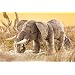 Folkmanis Puppet Elephant