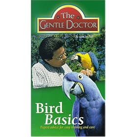 Buy Bird Basics:Expert Advice for Easy Training and Care now!
