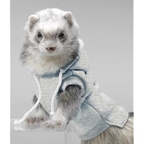 Marshall Ferret Sweatshirt, Grey