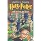 Popular English books in other languages