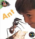 Ant (Bug Books)