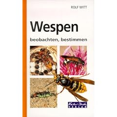 Wespen beobachten, bestimmen