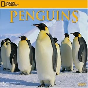 National Geographic: Penguins: 9781554561025: Books - Amazon.ca
