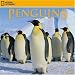 National Geographic Penguins 2009 Calendar